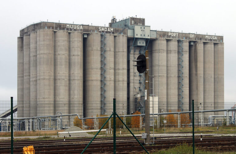 Fumigation in grain storage | Fumiteam